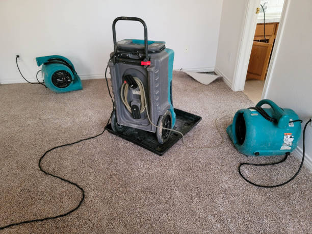 Best Emergency water damage restoration  in Miami Gardens, FL