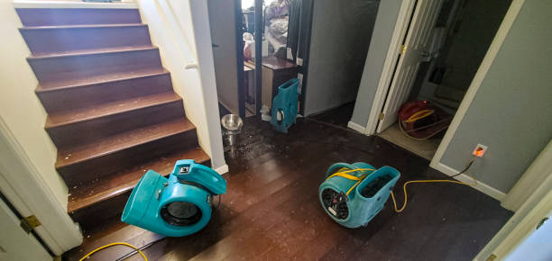 Best Water damage restoration near me  in Miami Gardens, FL
