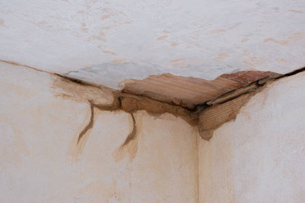 Best Basement water damage restoration  in Miami Gardens, FL