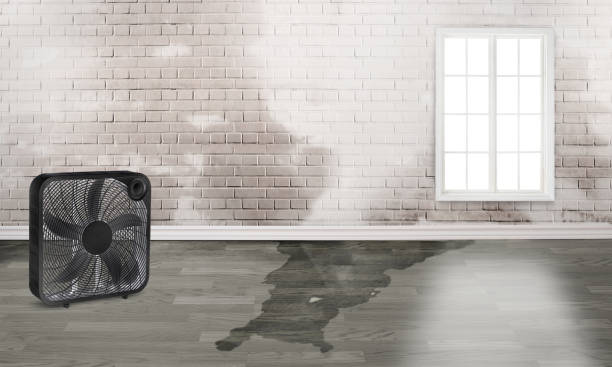 Best Flooded house restoration  in Miami Gardens, FL