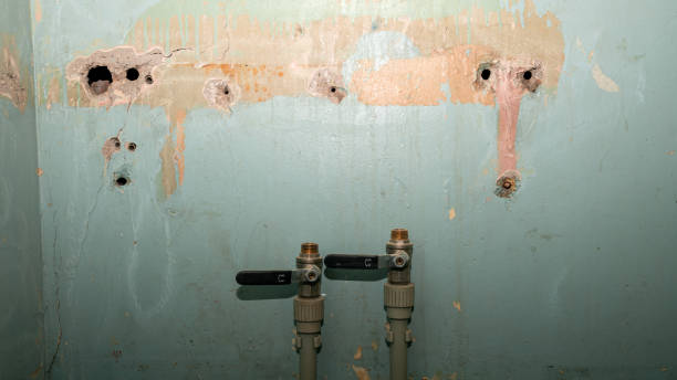 Best Sewage cleanup and water damage restoration  in Miami Gardens, FL
