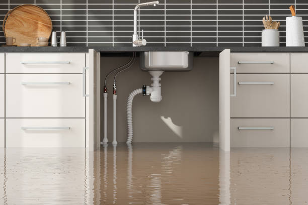 Best Flood damage cleanup  in Miami Gardens, FL