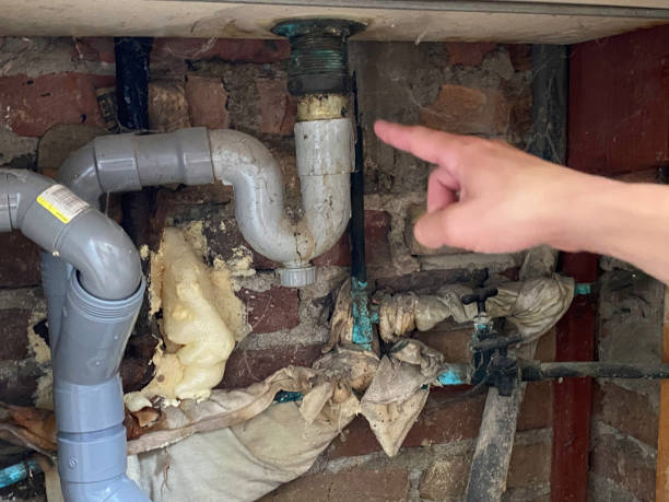 Best Ceiling water damage repair  in Miami Gardens, FL