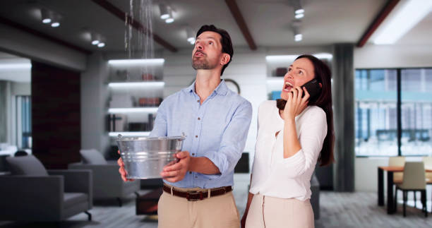 Best Water damage restoration insurance claims  in Miami Gardens, FL